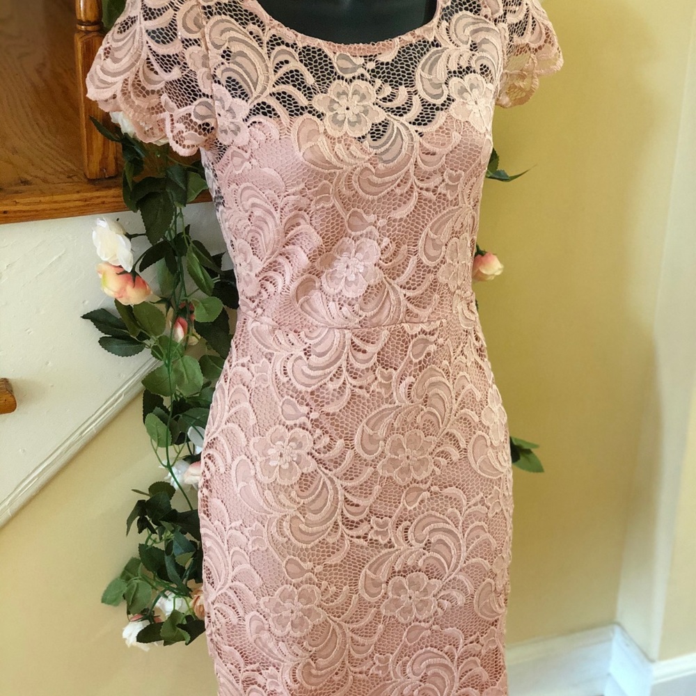 Blush Laced/Crochet Midi Dress - Picture 7 of 12